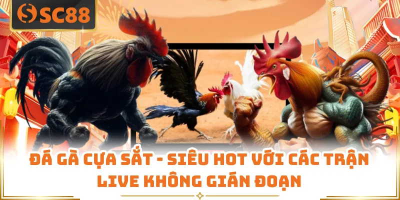 Đá Gà Cựa Sắt - Siêu Hot Với Các Trận Live Không Gián Đoạn
