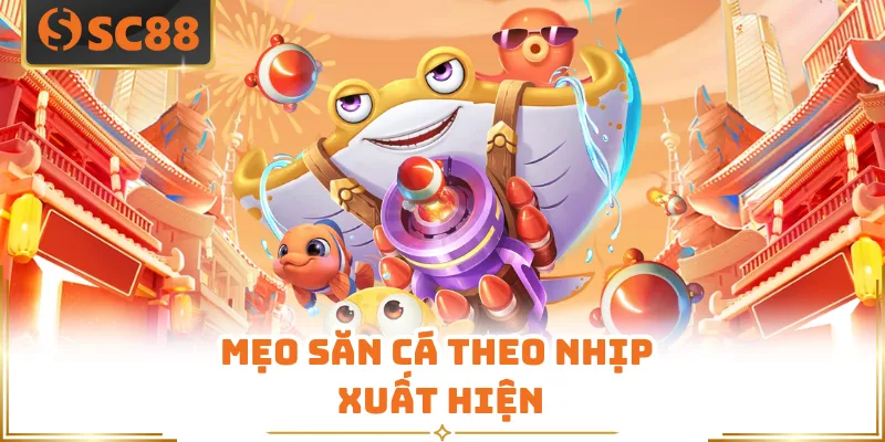 Mẹo săn cá theo nhịp xuất hiện